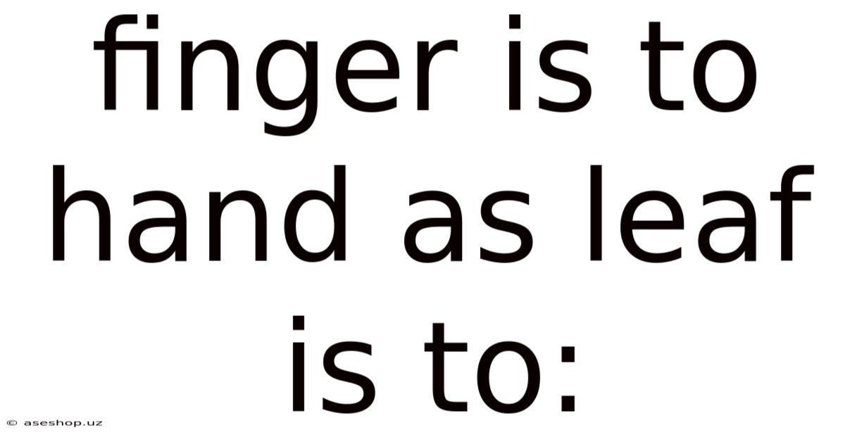 Finger Is To Hand As Leaf Is To:
