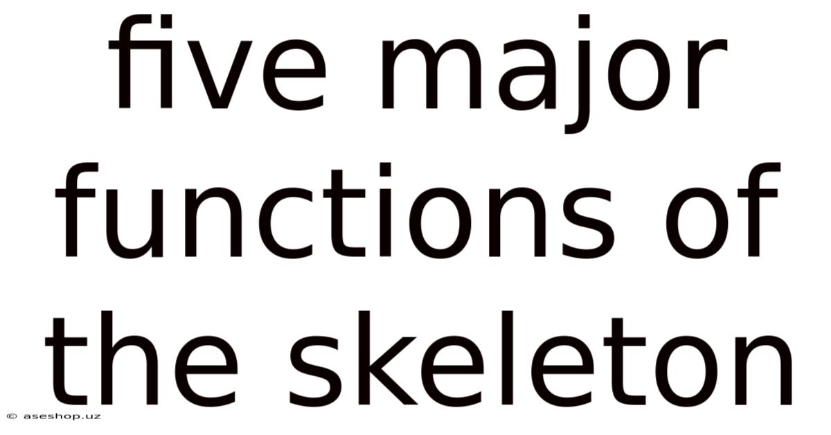 Five Major Functions Of The Skeleton