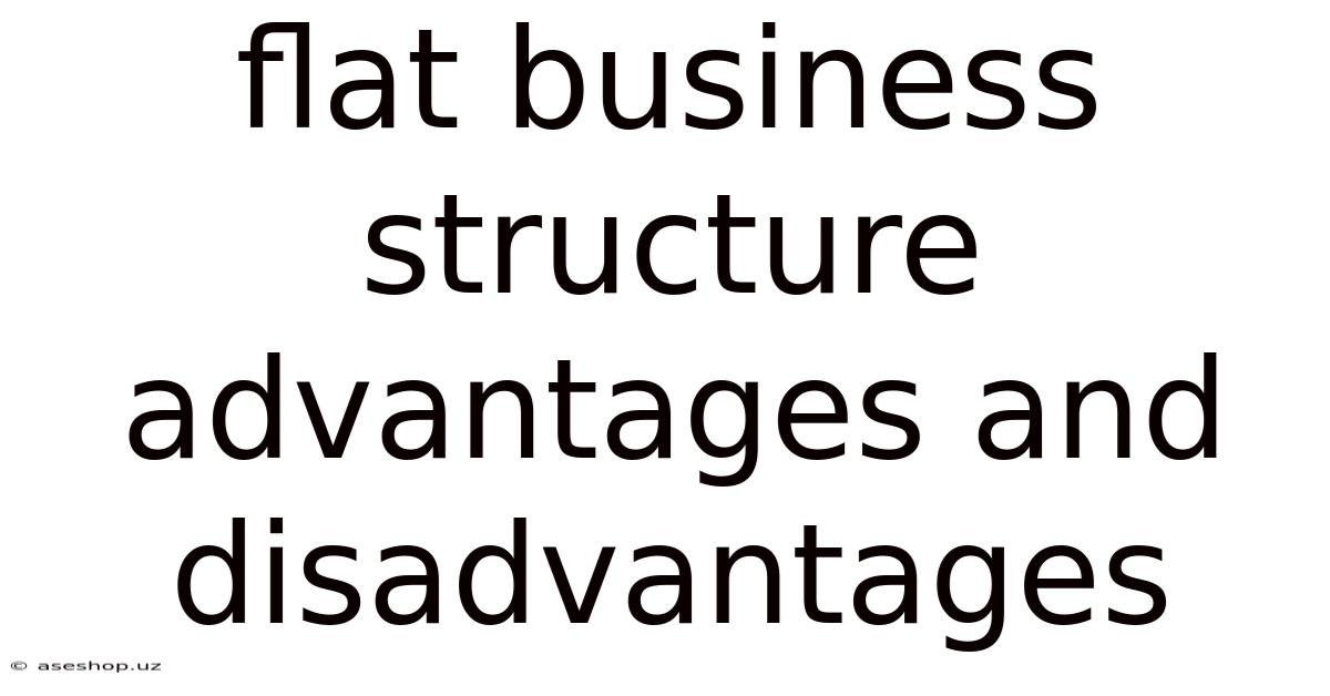 Flat Business Structure Advantages And Disadvantages