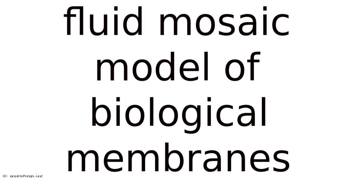 Fluid Mosaic Model Of Biological Membranes