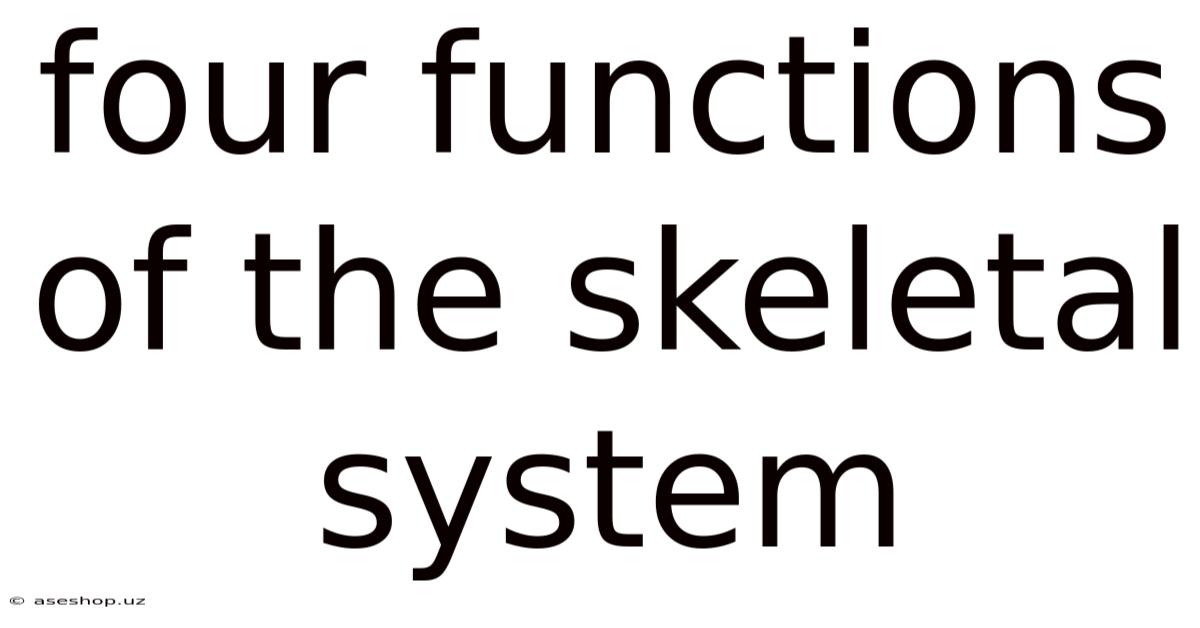 Four Functions Of The Skeletal System