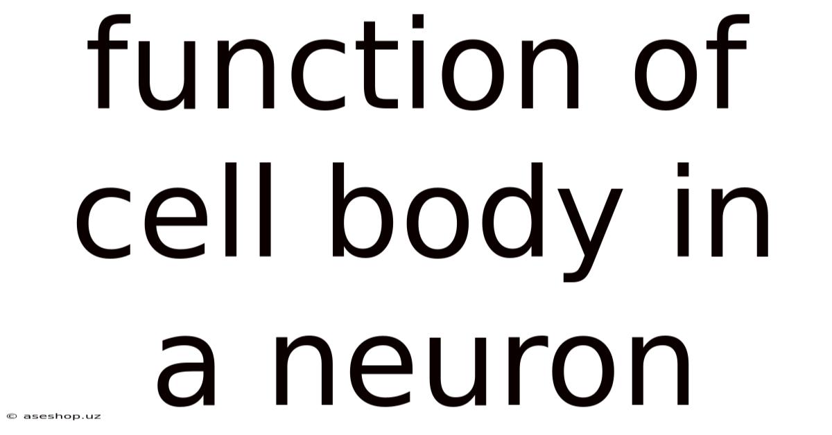 Function Of Cell Body In A Neuron