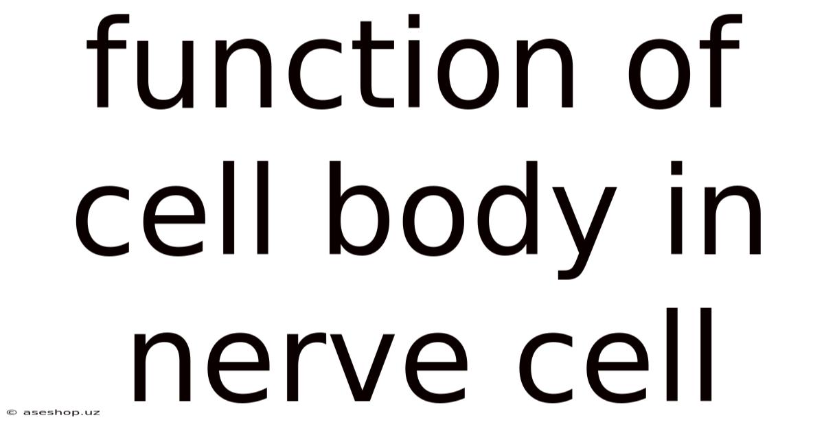 Function Of Cell Body In Nerve Cell
