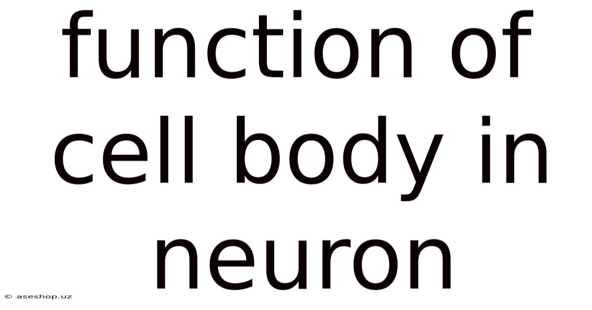 Function Of Cell Body In Neuron