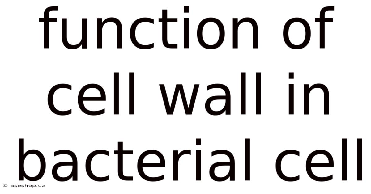 Function Of Cell Wall In Bacterial Cell