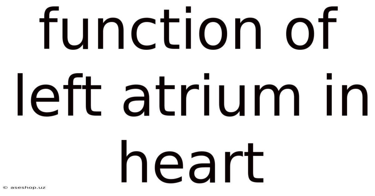 Function Of Left Atrium In Heart