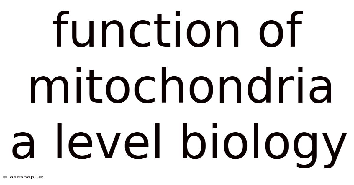 Function Of Mitochondria A Level Biology