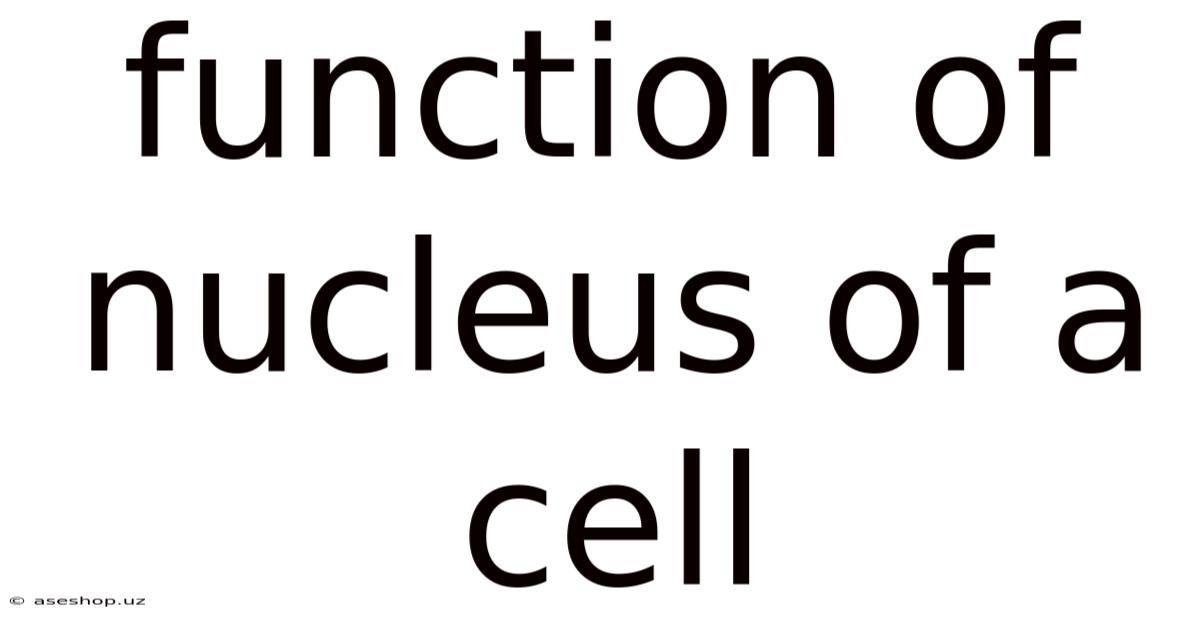 Function Of Nucleus Of A Cell