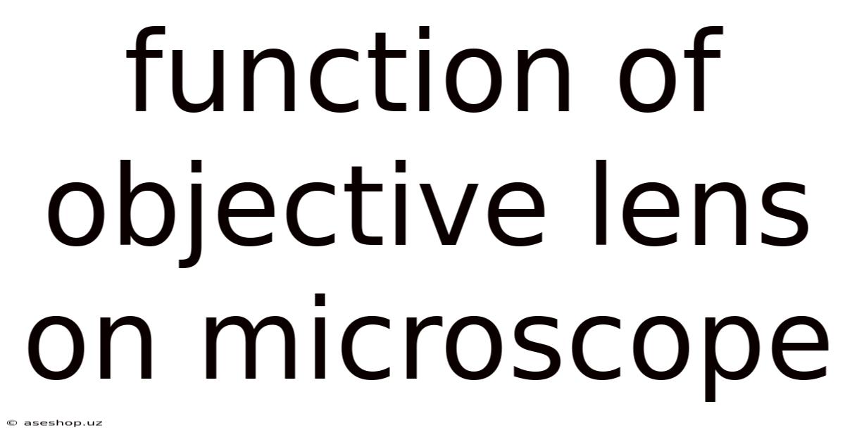 Function Of Objective Lens On Microscope