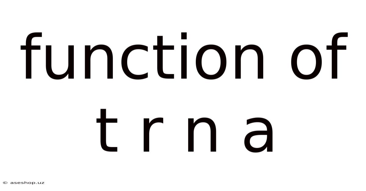 Function Of T R N A