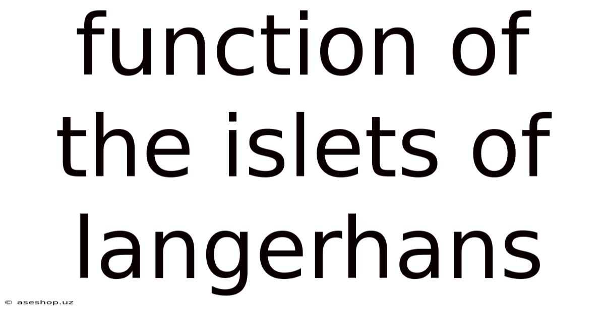 Function Of The Islets Of Langerhans