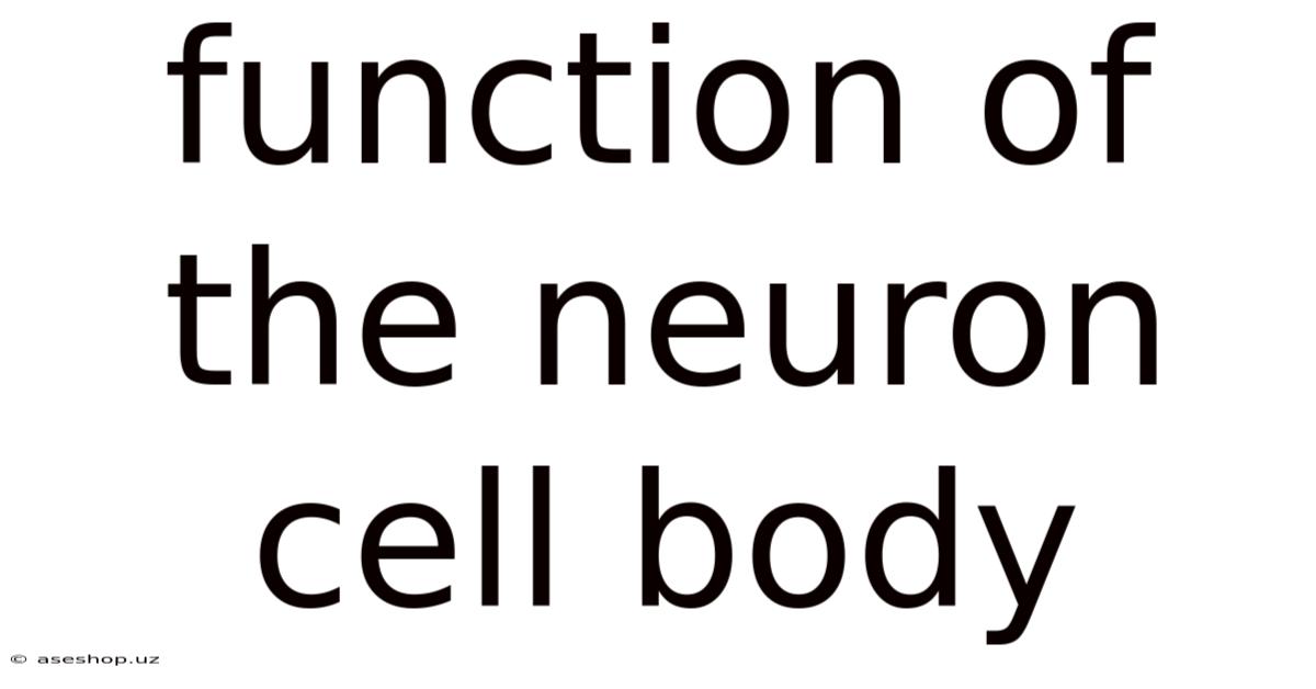 Function Of The Neuron Cell Body