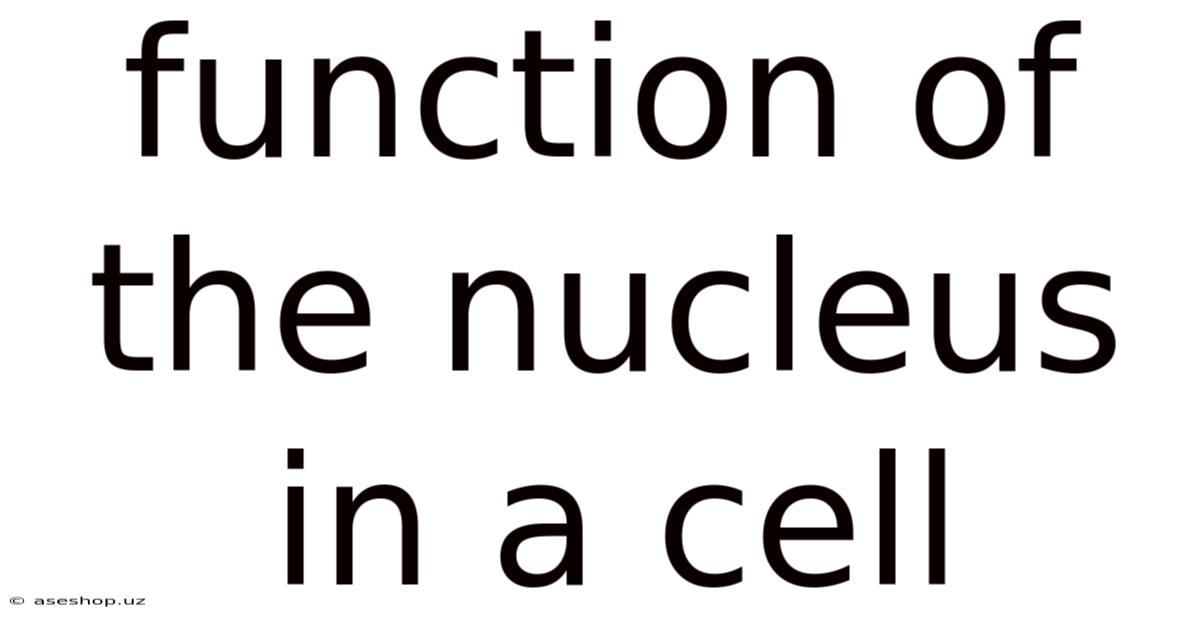 Function Of The Nucleus In A Cell