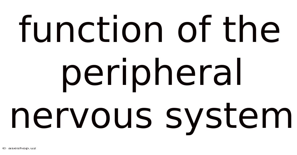 Function Of The Peripheral Nervous System