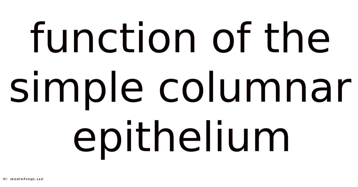 Function Of The Simple Columnar Epithelium