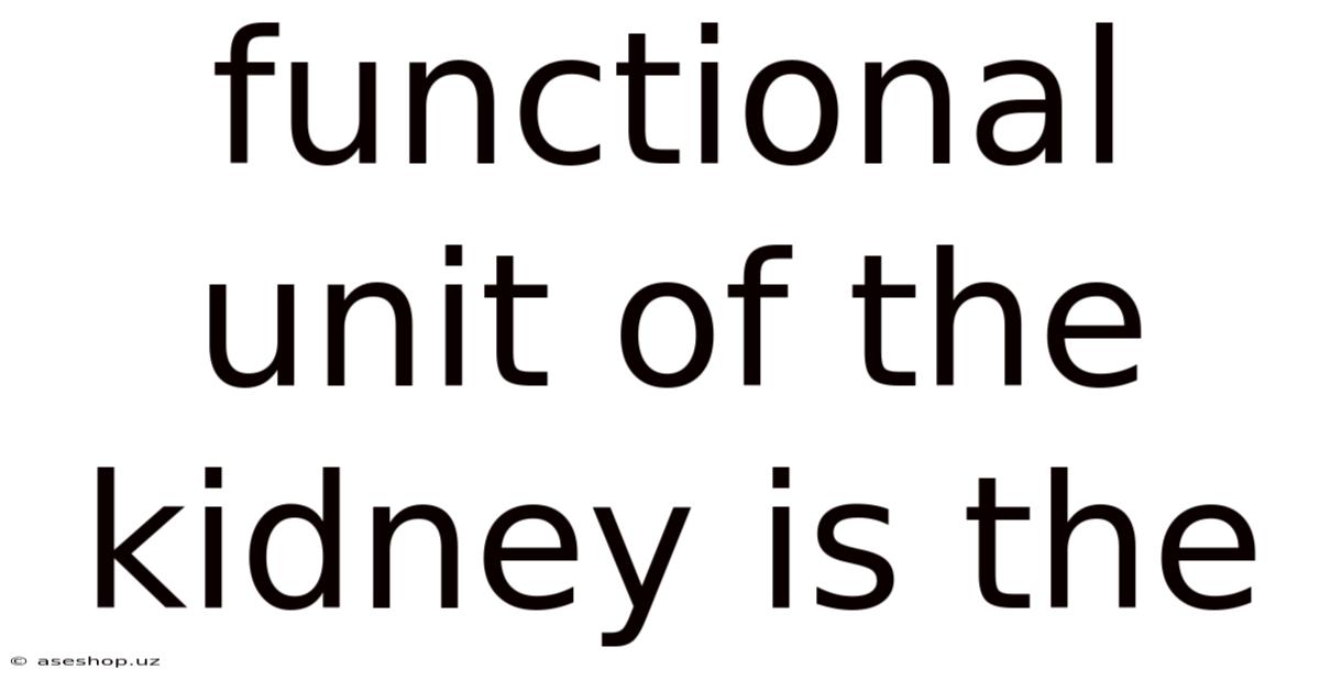 Functional Unit Of The Kidney Is The