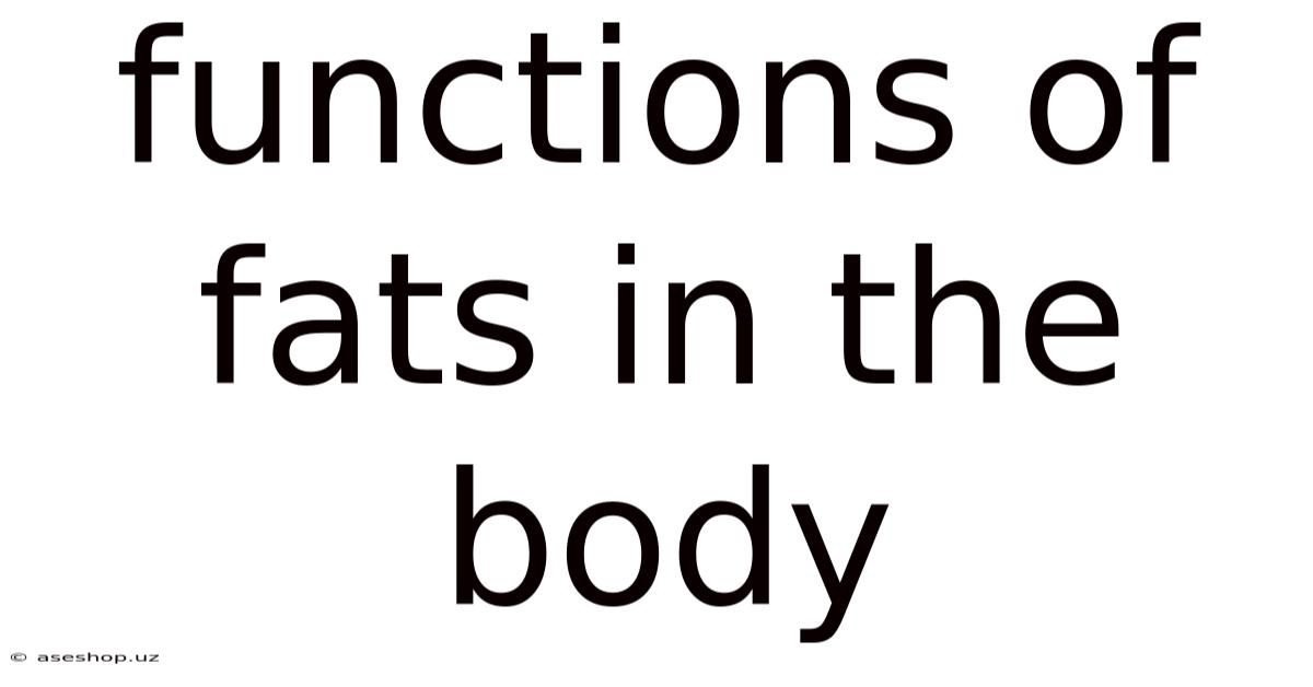 Functions Of Fats In The Body
