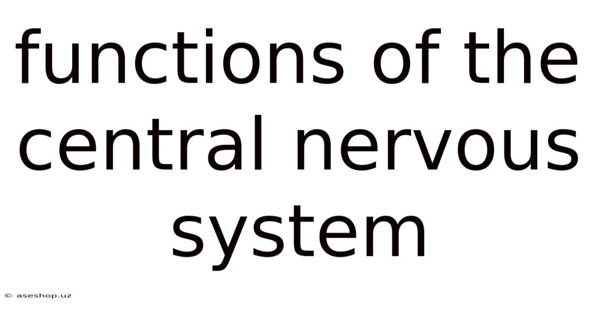 Functions Of The Central Nervous System