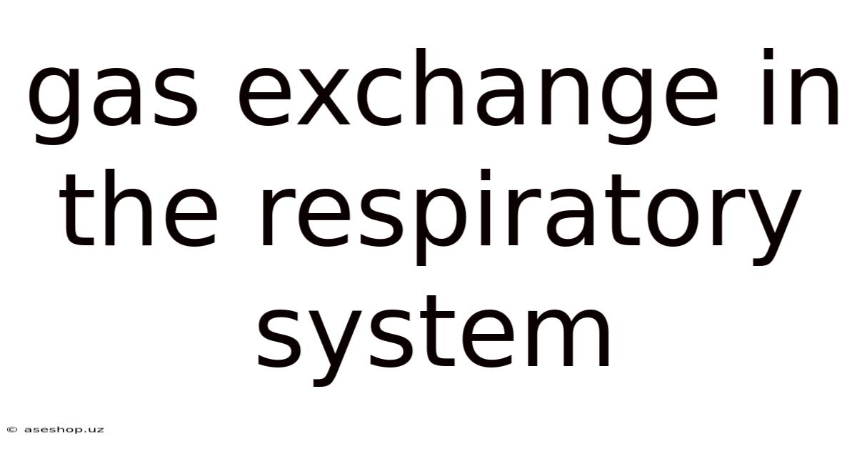 Gas Exchange In The Respiratory System