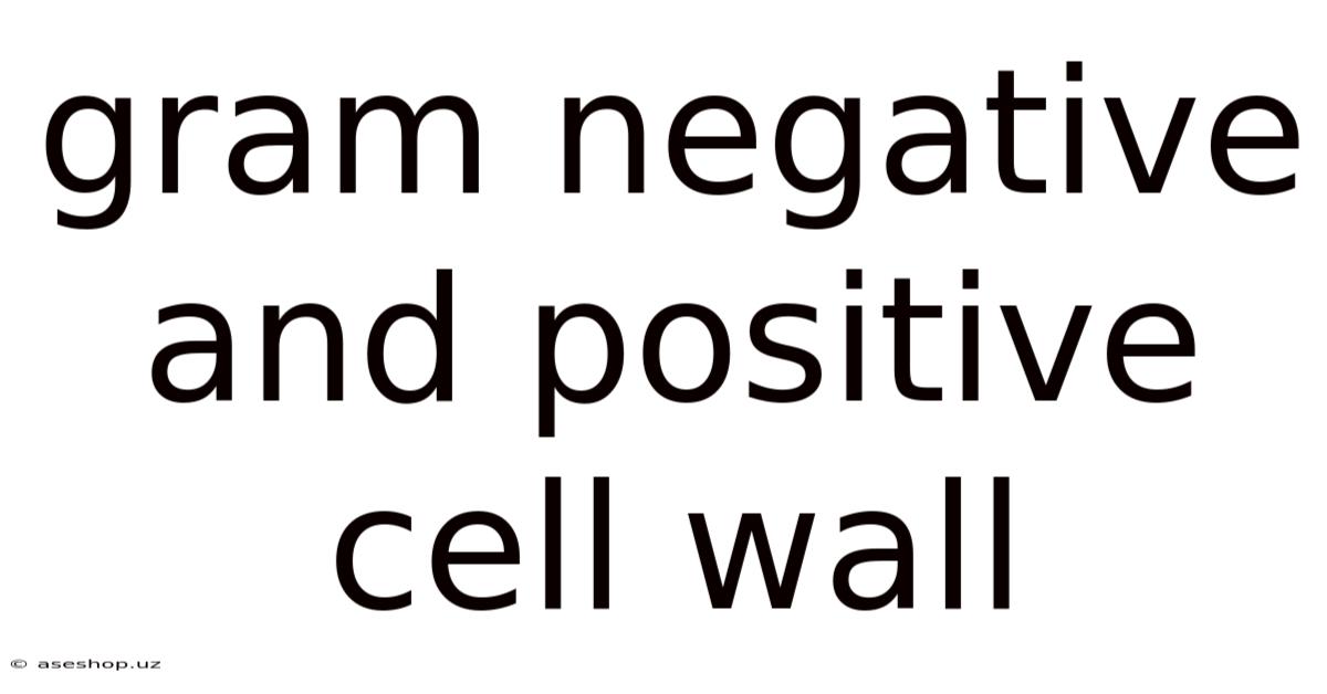 Gram Negative And Positive Cell Wall