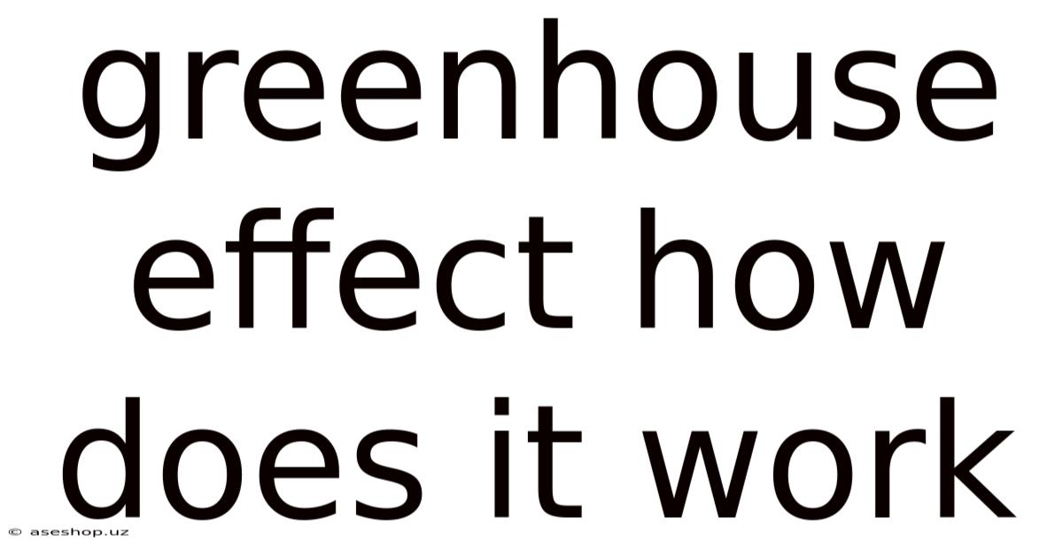 Greenhouse Effect How Does It Work