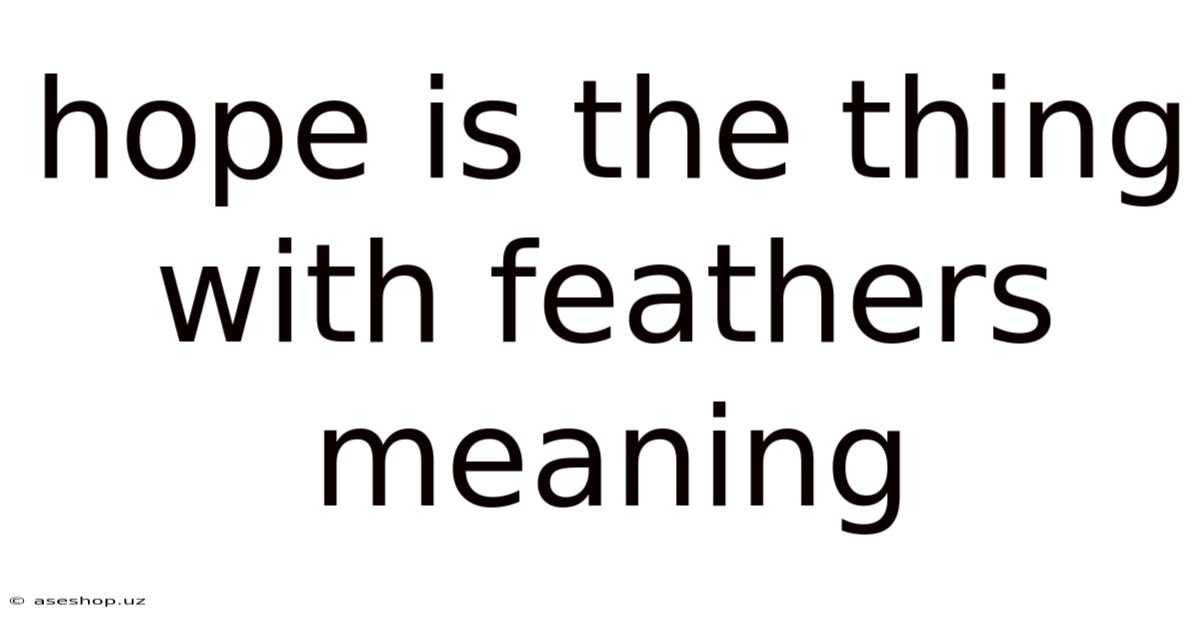 Hope Is The Thing With Feathers Meaning