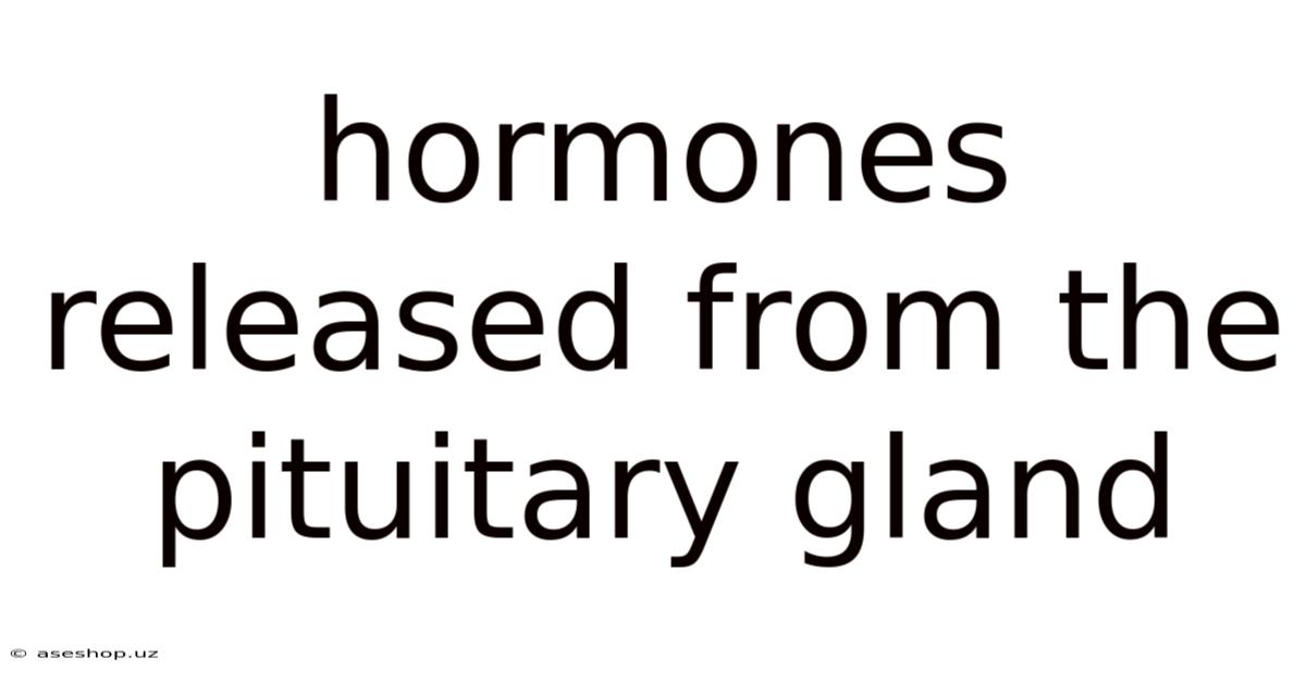 Hormones Released From The Pituitary Gland