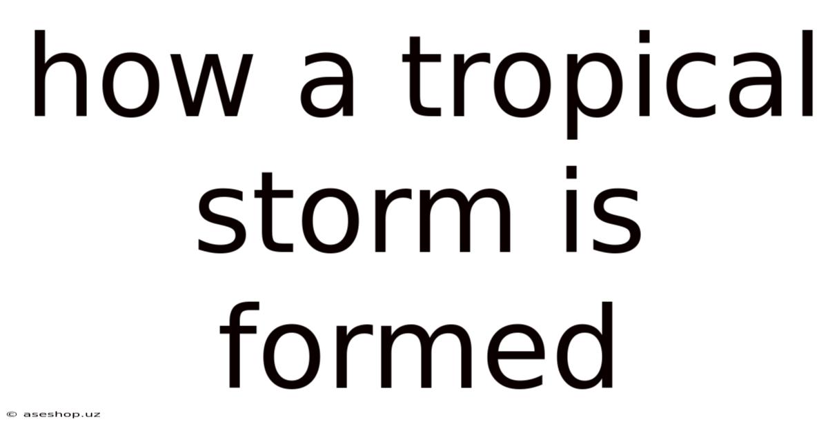 How A Tropical Storm Is Formed