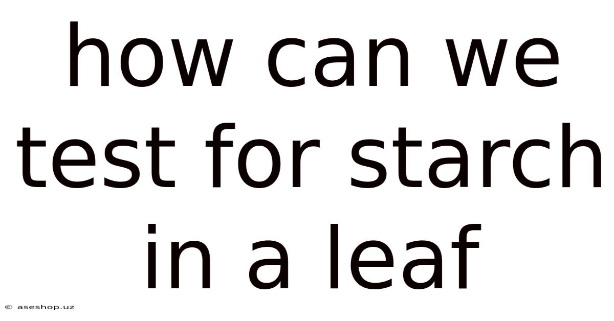 How Can We Test For Starch In A Leaf