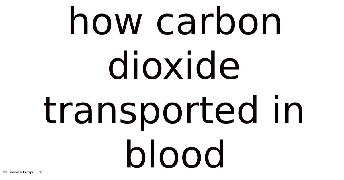 How Carbon Dioxide Transported In Blood