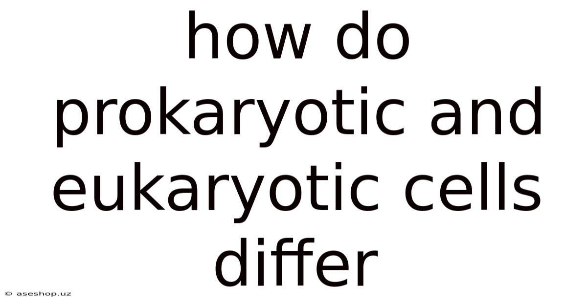 How Do Prokaryotic And Eukaryotic Cells Differ