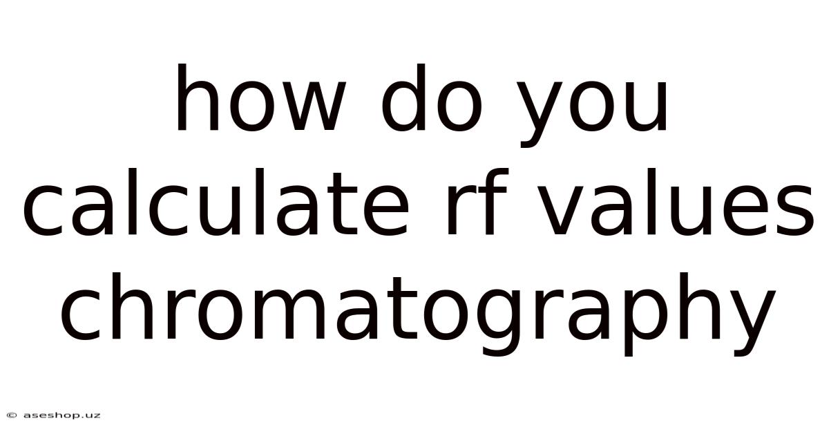 How Do You Calculate Rf Values Chromatography