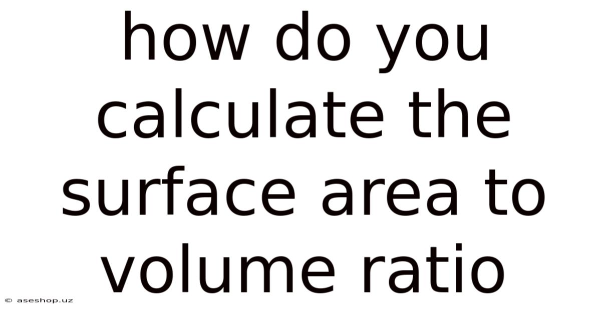 How Do You Calculate The Surface Area To Volume Ratio