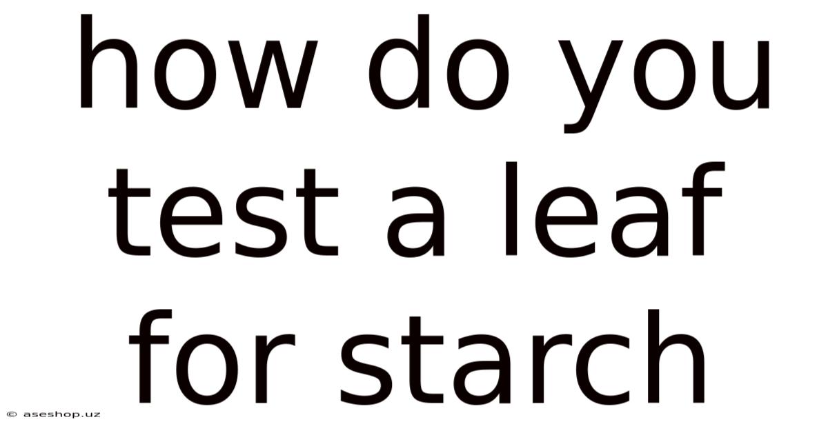 How Do You Test A Leaf For Starch