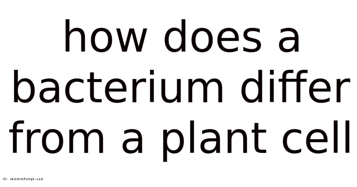 How Does A Bacterium Differ From A Plant Cell