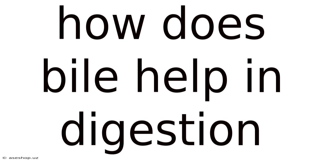 How Does Bile Help In Digestion