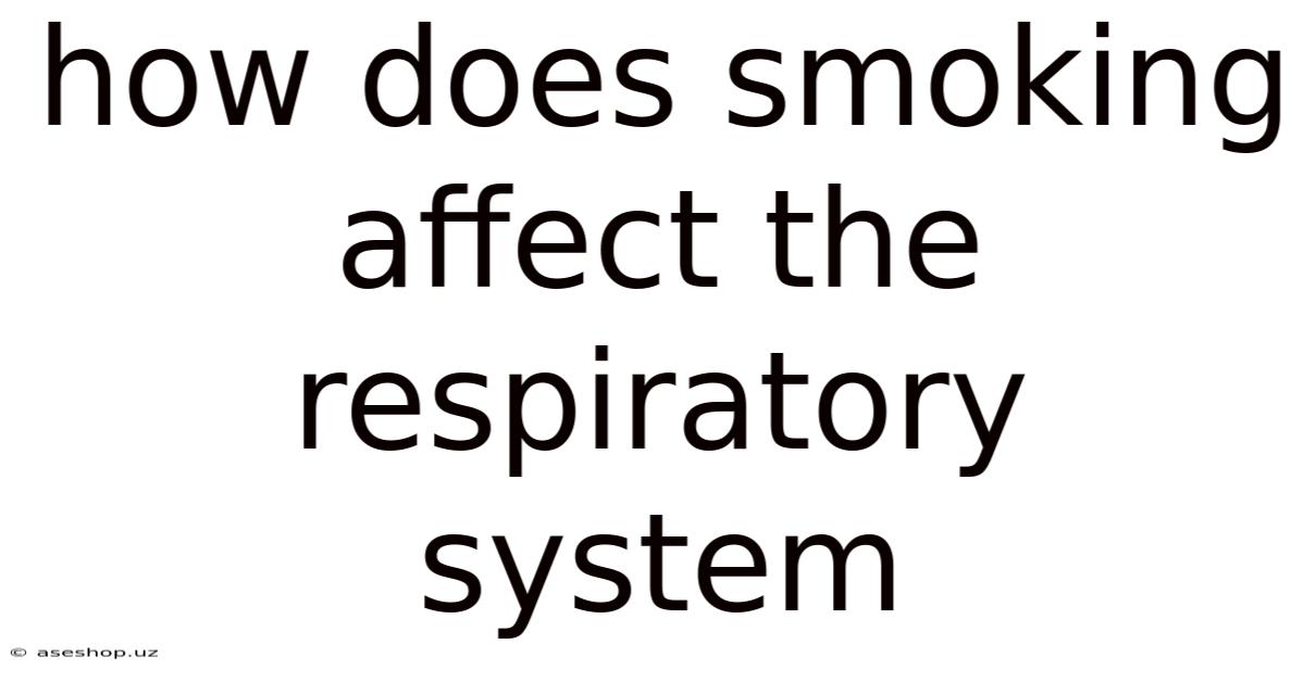 How Does Smoking Affect The Respiratory System