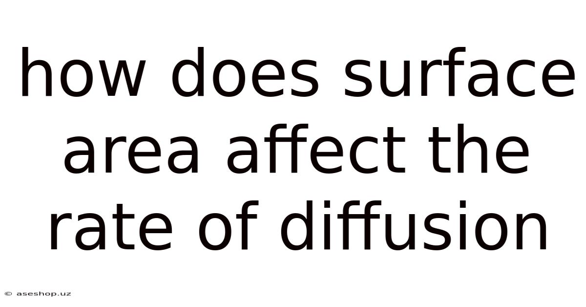 How Does Surface Area Affect The Rate Of Diffusion