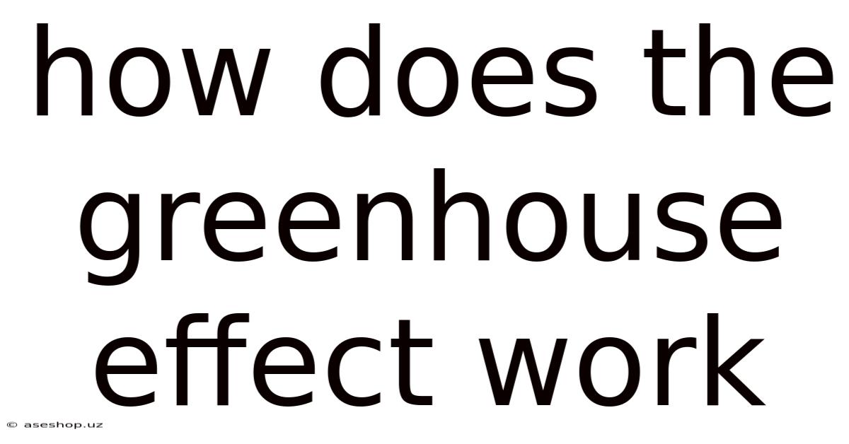 How Does The Greenhouse Effect Work