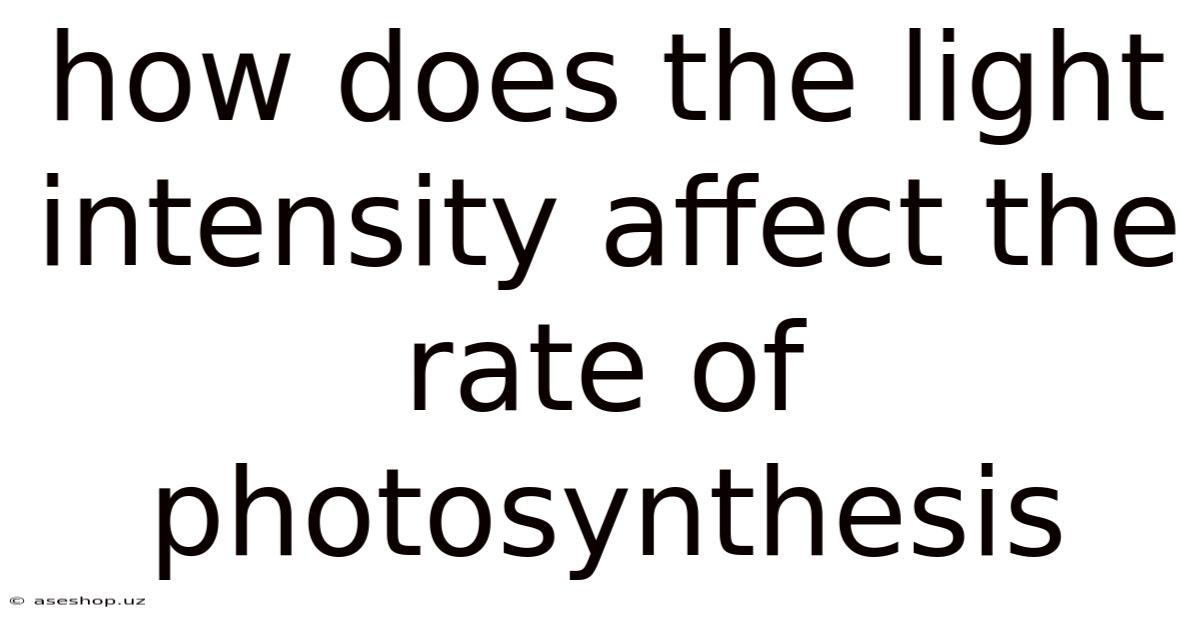 How Does The Light Intensity Affect The Rate Of Photosynthesis