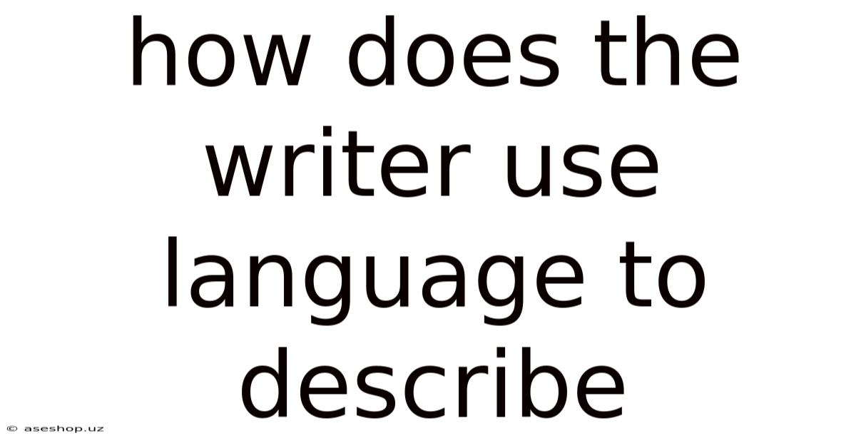How Does The Writer Use Language To Describe
