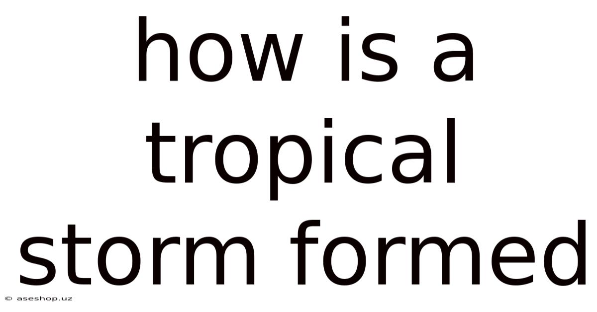 How Is A Tropical Storm Formed