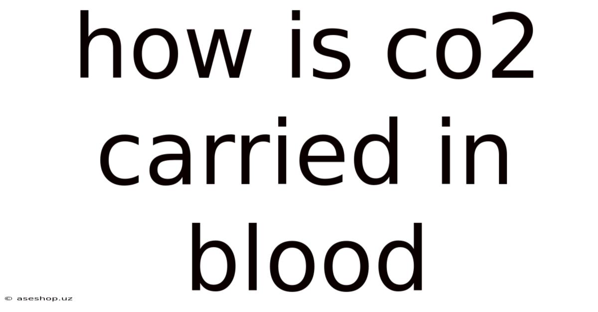 How Is Co2 Carried In Blood