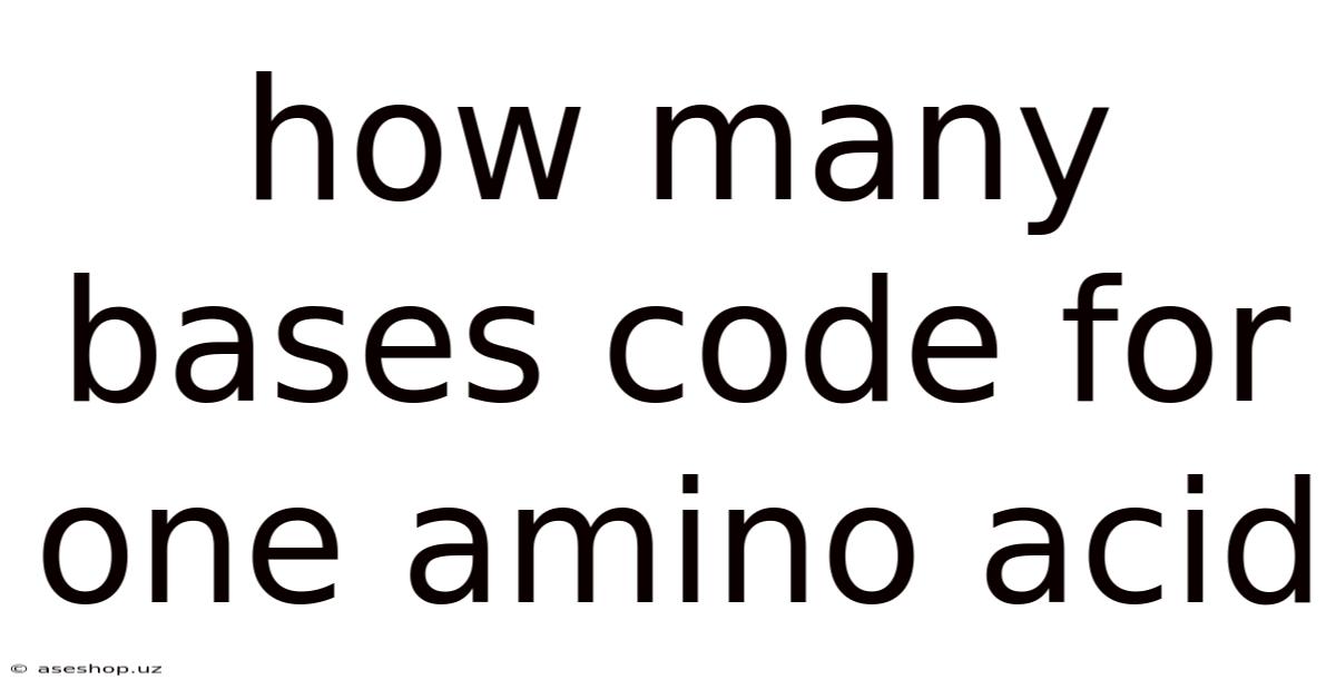 How Many Bases Code For One Amino Acid