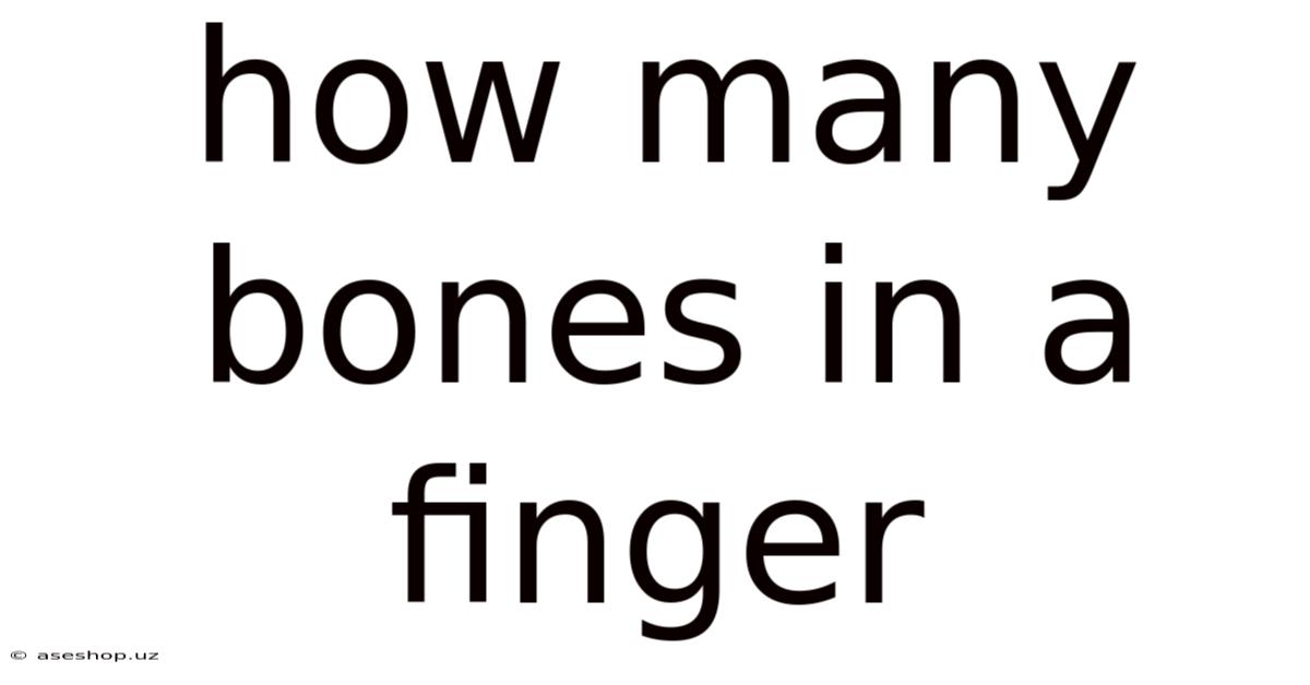 How Many Bones In A Finger