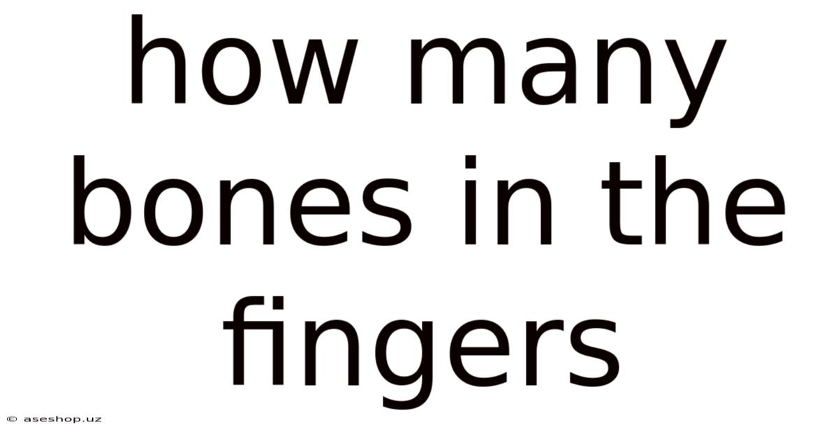 How Many Bones In The Fingers