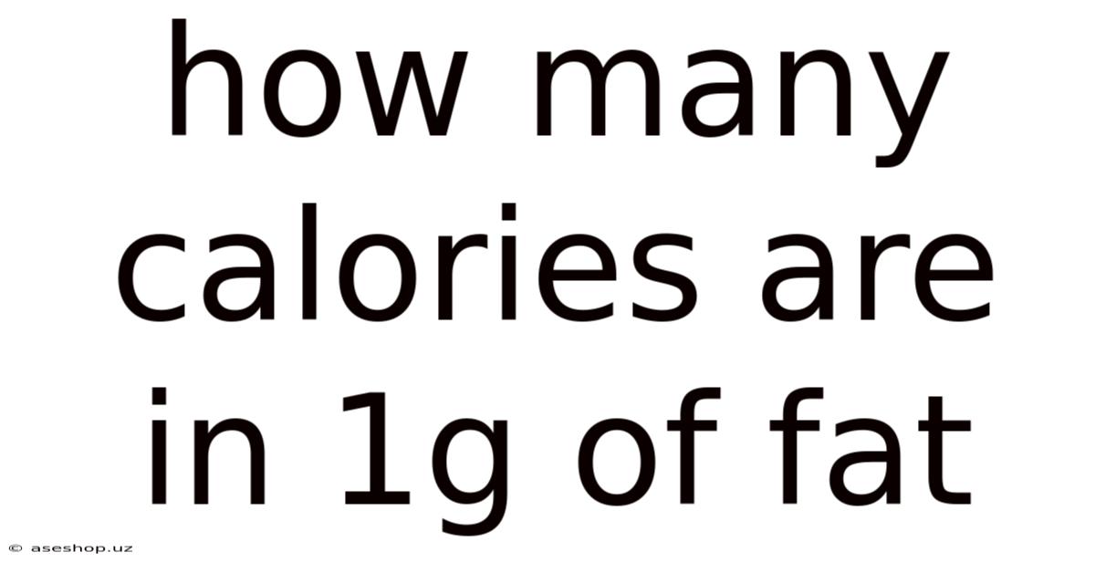 How Many Calories Are In 1g Of Fat