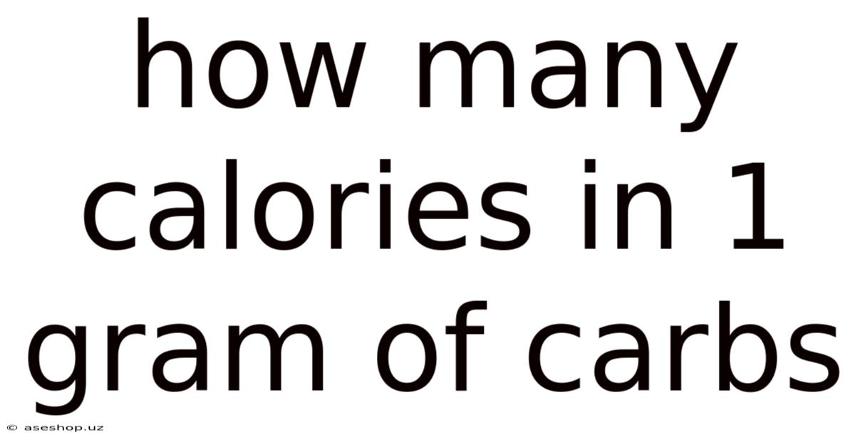 How Many Calories In 1 Gram Of Carbs