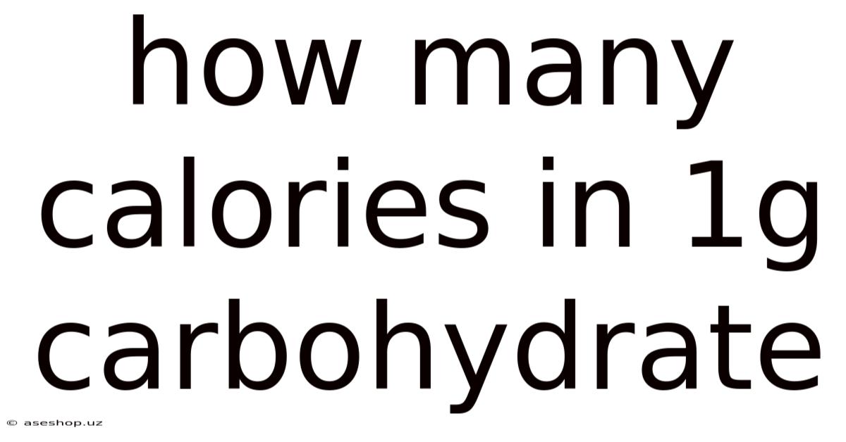 How Many Calories In 1g Carbohydrate