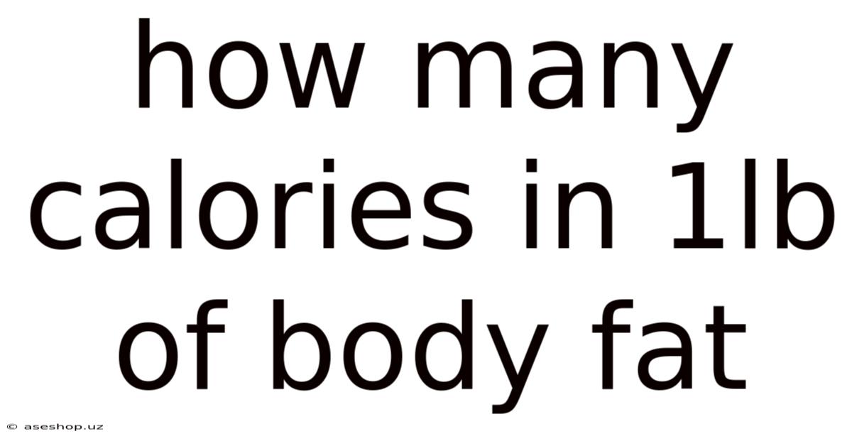 How Many Calories In 1lb Of Body Fat